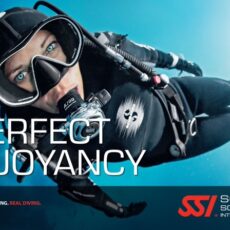 Flotabilidad Perfecta - Perfect Buoyancy